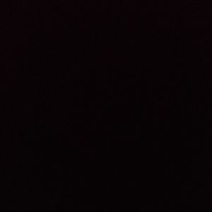 Meet your Posher, Ray